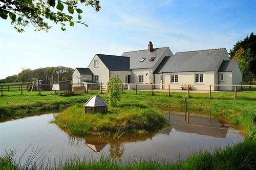 Bed and Breakfast The Paddock Haverfordwest Zewnętrze zdjęcie